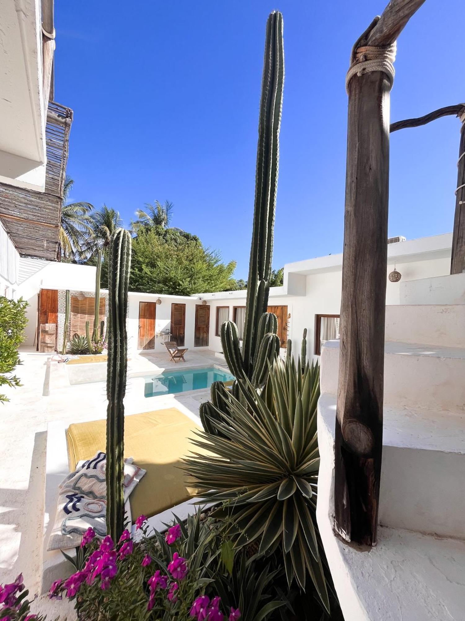 Casa Leone La Punta 호텔 Brisas de Zicatela 외부 사진